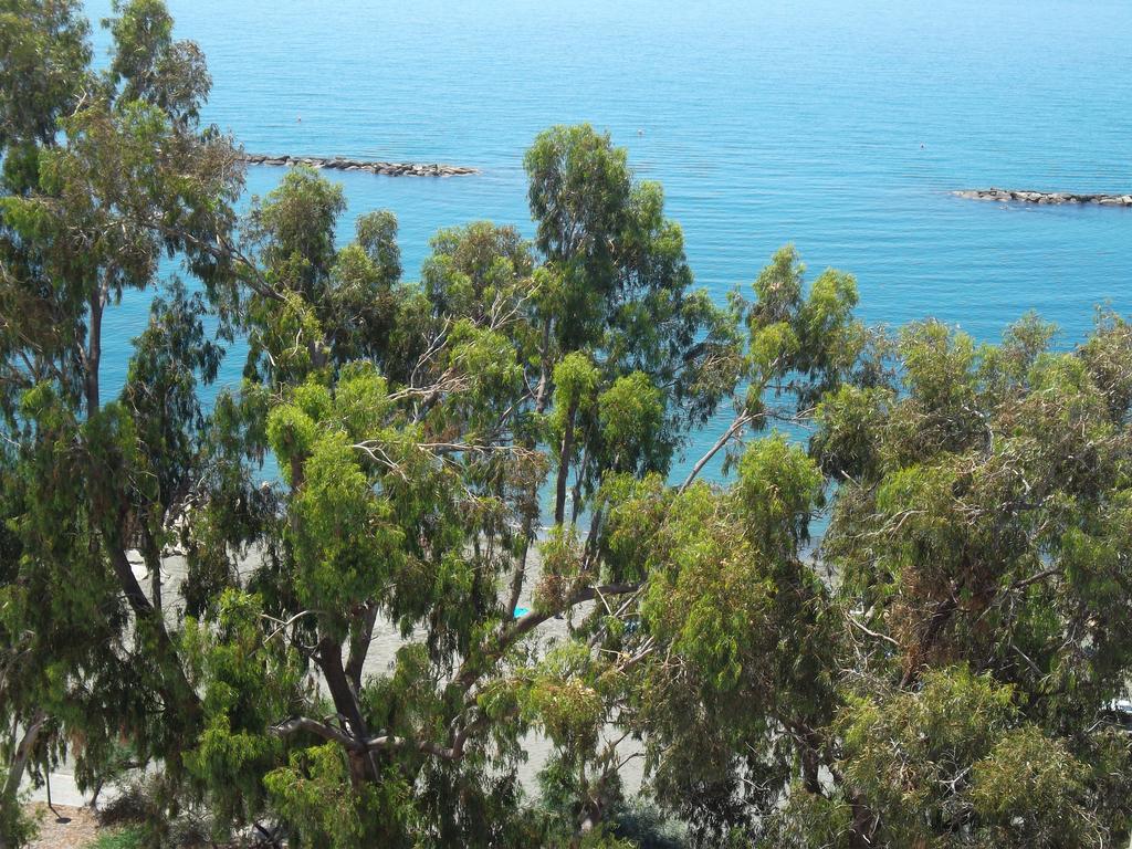 Myria Court Apartman Limassol Kültér fotó